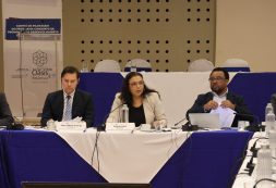 “Reconhecemos que tem sido relevante o contributo que o Programa Conjunto tem dado para a afirmação do Poder Local” - Janine Lélis