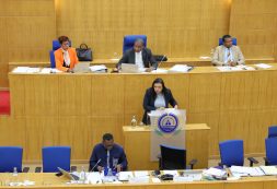 Governo aprovou Estratégia de Descentralização com impactos concretos nos Municípios – Janine Lélis