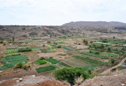 Inaugurada segunda fase da dessalinizadora de água para a agricultura em São Domingos